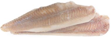 RYBY MR: Dorsz Czarniak Msc ZA shp 16-32 4*6,8kg
